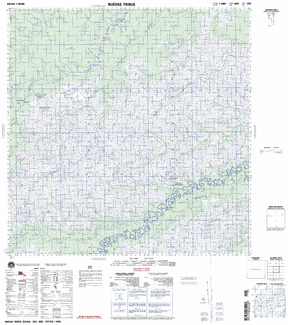 Bolivia #3345: Nuevas Tribus