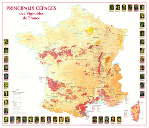 (image for) France Wine: Principal Varieties