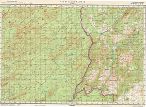 (image for) Guinea #B-29-03