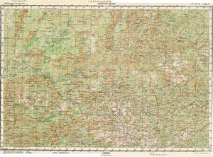 (image for) Guinea #C-28-06