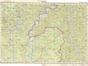 (image for) Guinea #C-29-10