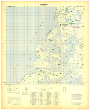 Indonesia Kalimantan #1315-63: