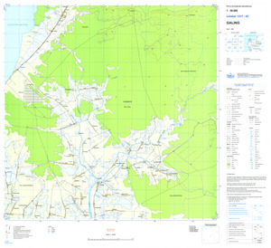Indonesia Kalimantan #1317-62: Galing