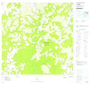 (image for) Indonesia Kalimantan #1413-33: