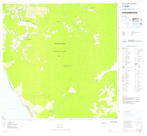 (image for) Indonesia Kalimantan #1513-022: