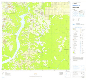 (image for) Indonesia Kalimantan #1513-024: