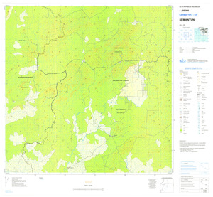 (image for) Indonesia Kalimantan #1513-043: