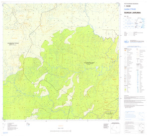 (image for) Indonesia Kalimantan #1716-022: Sungai Jarumai