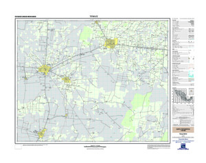 (image for) Mexico #F16C44: Temax