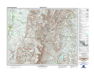 (image for) Mexico #F13D26: Tepechitlán