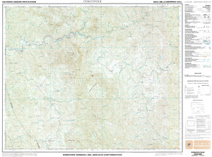 (image for) Mexico #G13C65: Coacoyole.