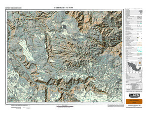 (image for) Mexico #F14D72: Carbonero Jacales