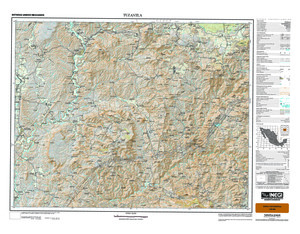 (image for) Mexico #E14A45: Tuzantla