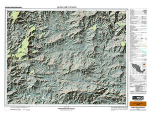 (image for) Mexico #E14C37: Jaleaca de Catalán