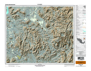 (image for) Mexico #G12B47: Álamos