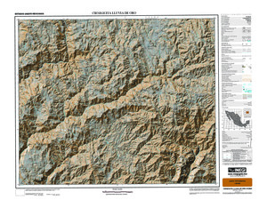 (image for) Mexico #G12B49: Cieneguita Lluvia de Oro