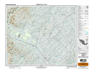 (image for) Mexico #G13A79: Torreón de Cañas