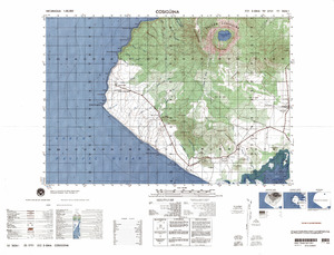 Nicaragua #2654-1: Cosiguin