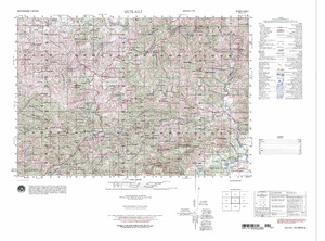 (image for) Nicaragua #2956-1: Quilal