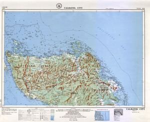 (image for) Philippines #2520: Calbayog City