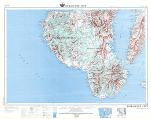 (image for) Philippines #2533: Durmaguete City