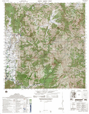 Vietnam #5651-4: Dien Bien Phu