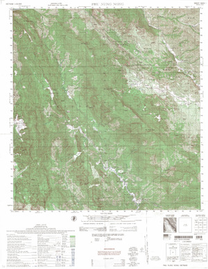 Vietnam #5653-1: Phu Nung Nong