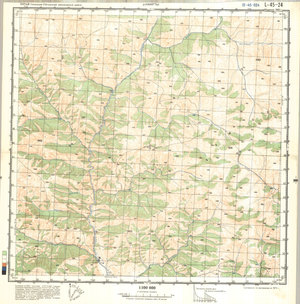 (image for) China #L-45-24