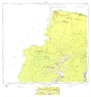 Suriname #1