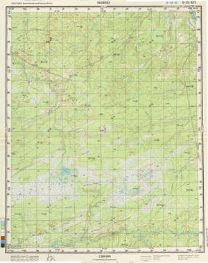 (image for) Russia 1:200,000: O-45-16