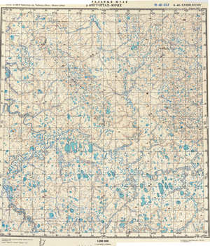 (image for) Russia 1:200,000: S-46-33
