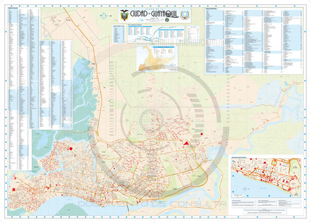 (image for) Guayaquil 2011